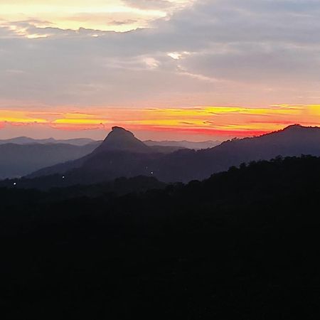 Appartement Nandana'S Residency Munnar Extérieur photo